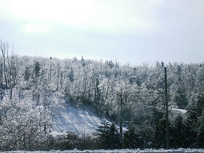 ./2010/Snow